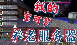 宝贝娱乐爆料视频大全,视频大全精彩瞬间大放送