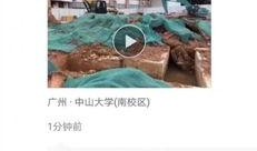 广东学校爆料视频最新版,揭秘校园内幕引发热议